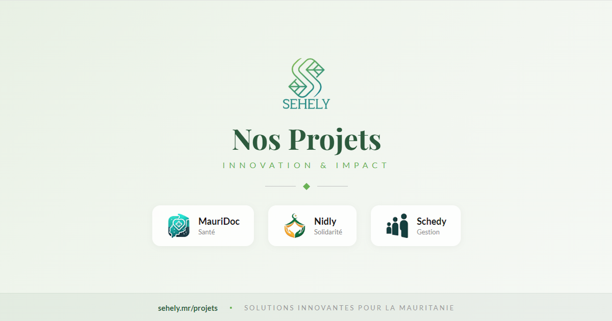 Nos Projets | Sehely
